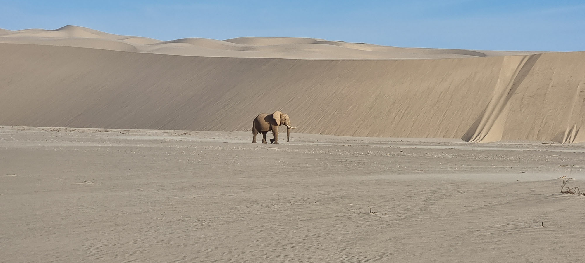 Kaokoveld, Skelettküste & Kunene