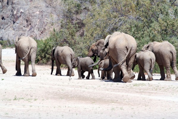 Namibia im Fluge