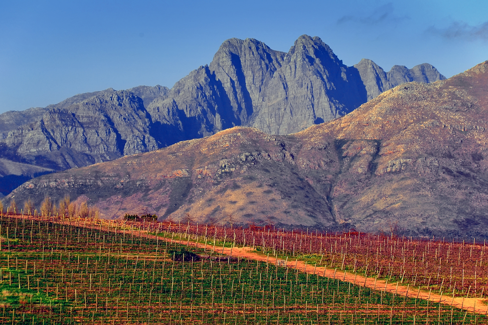 Winelands 