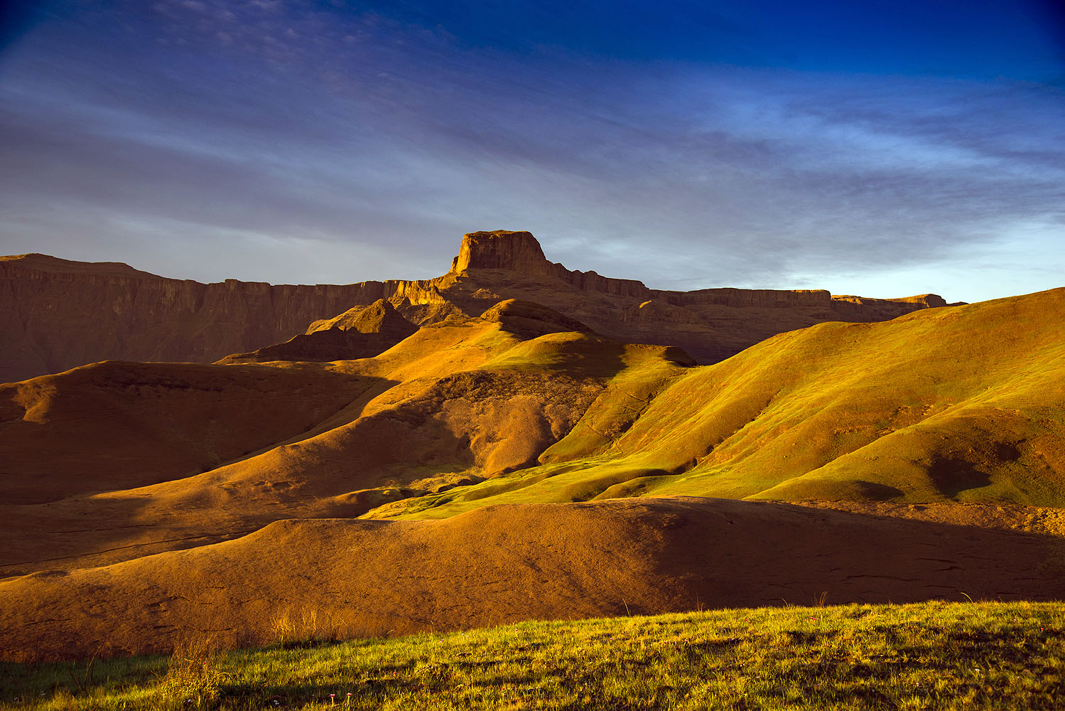 Von der Morgensonne beleuchtete Sandsteinformationen und Hügellandschaft im Golden Gate Highlands National Park in Südafrika.