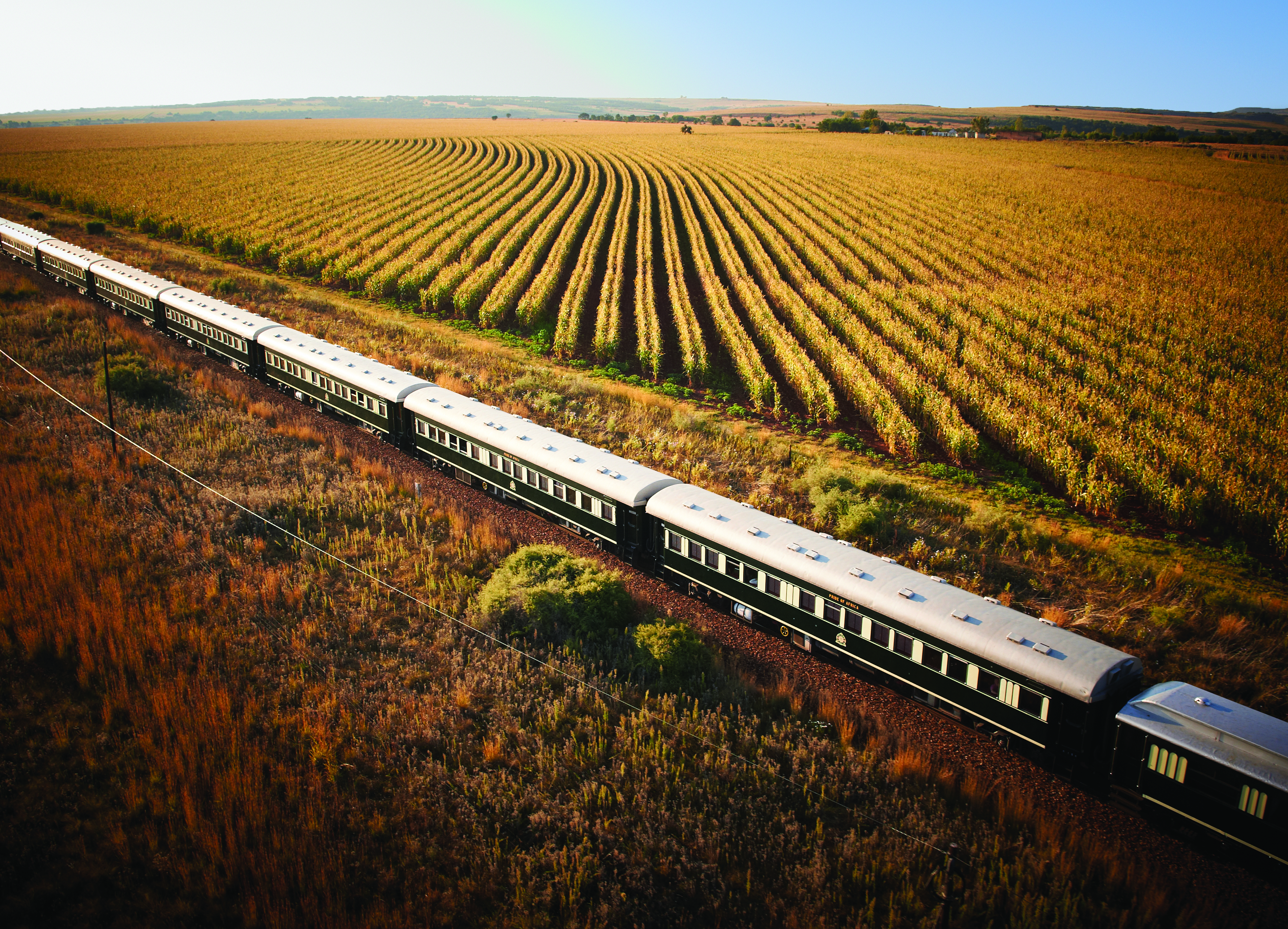 Rovos Rail Luxuszug fährt durch weitläufige Felder und die offene Landschaft Südafrikas.