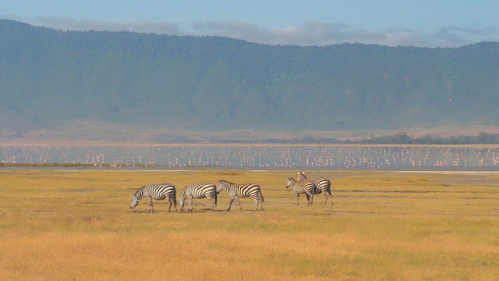 Ngorongoro Krater