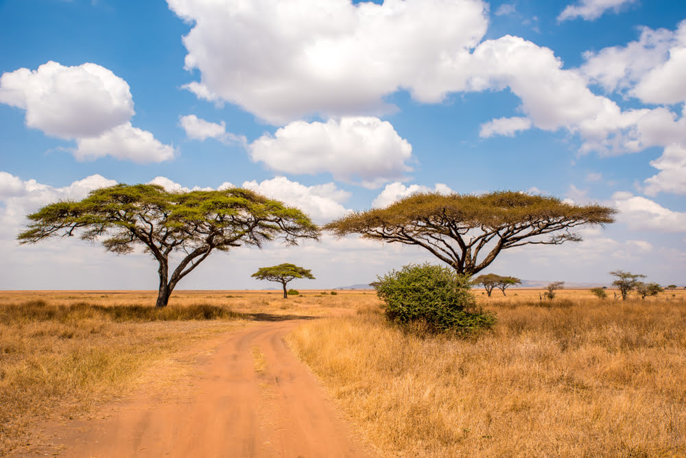 Serengeti Nationalpark