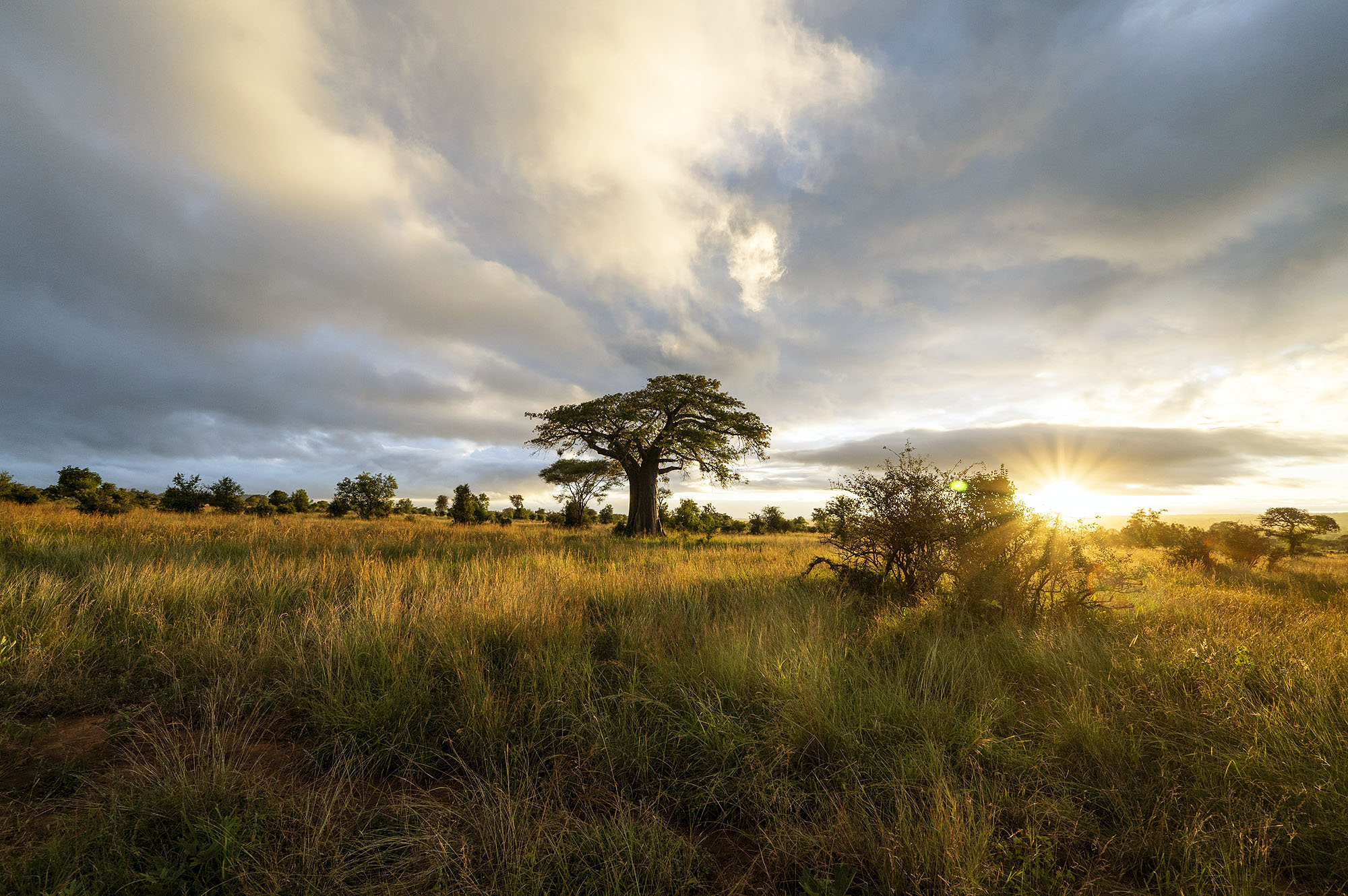 Tarangire National Park