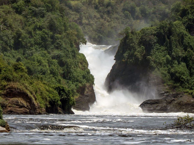 Die Murchison Falls im Murchison Falls Nationalpark in Uganda, wo sich der Nil durch eine enge Felsschlucht zwängt und spektakulär in die Tiefe stürzt.
