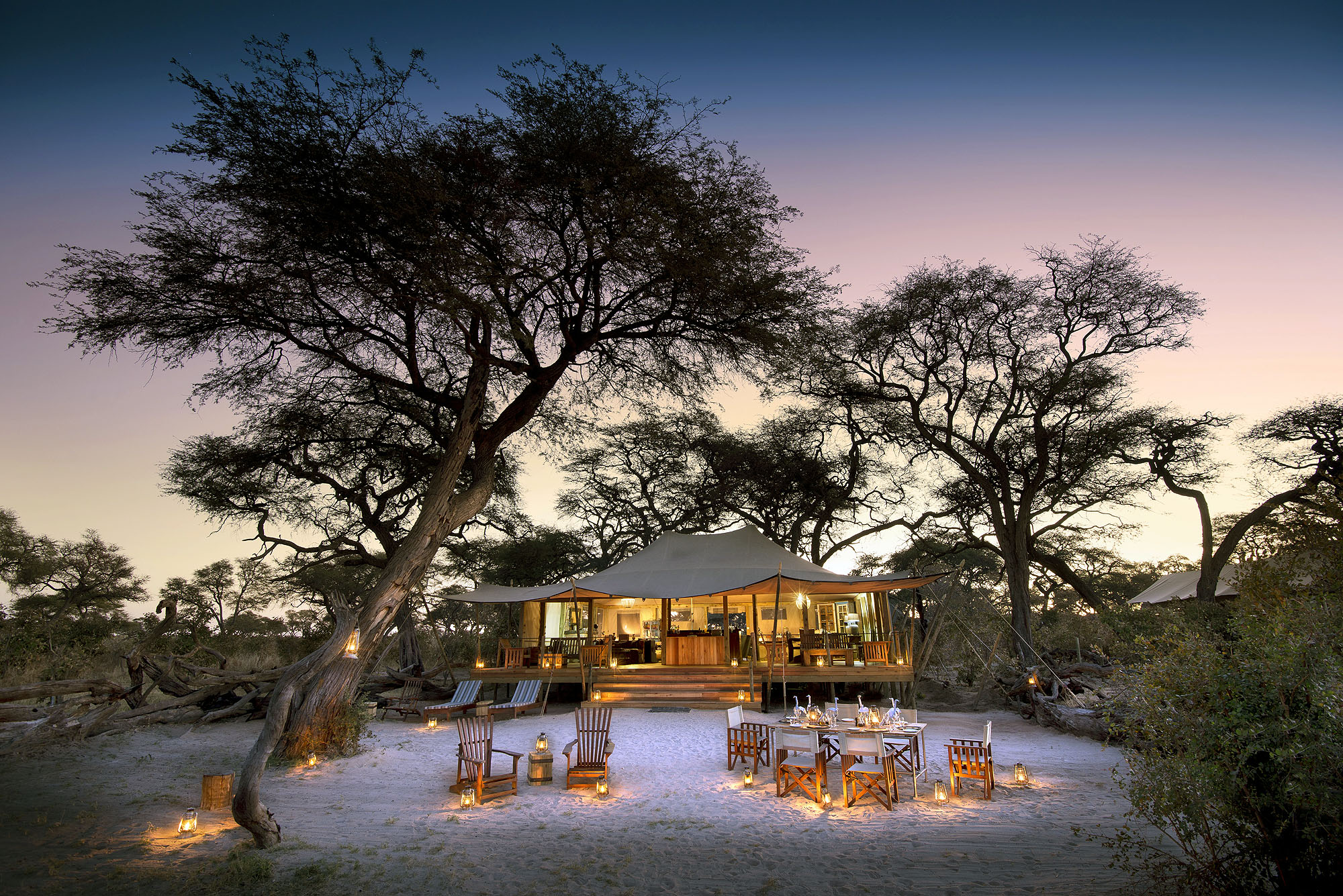 Stilvolles Safari-Camp unter mächtigen Akazienbäumen in der afrikanischen Wildnis bei Abenddämmerung.