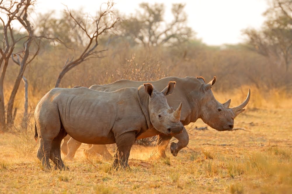 Matobo National Park