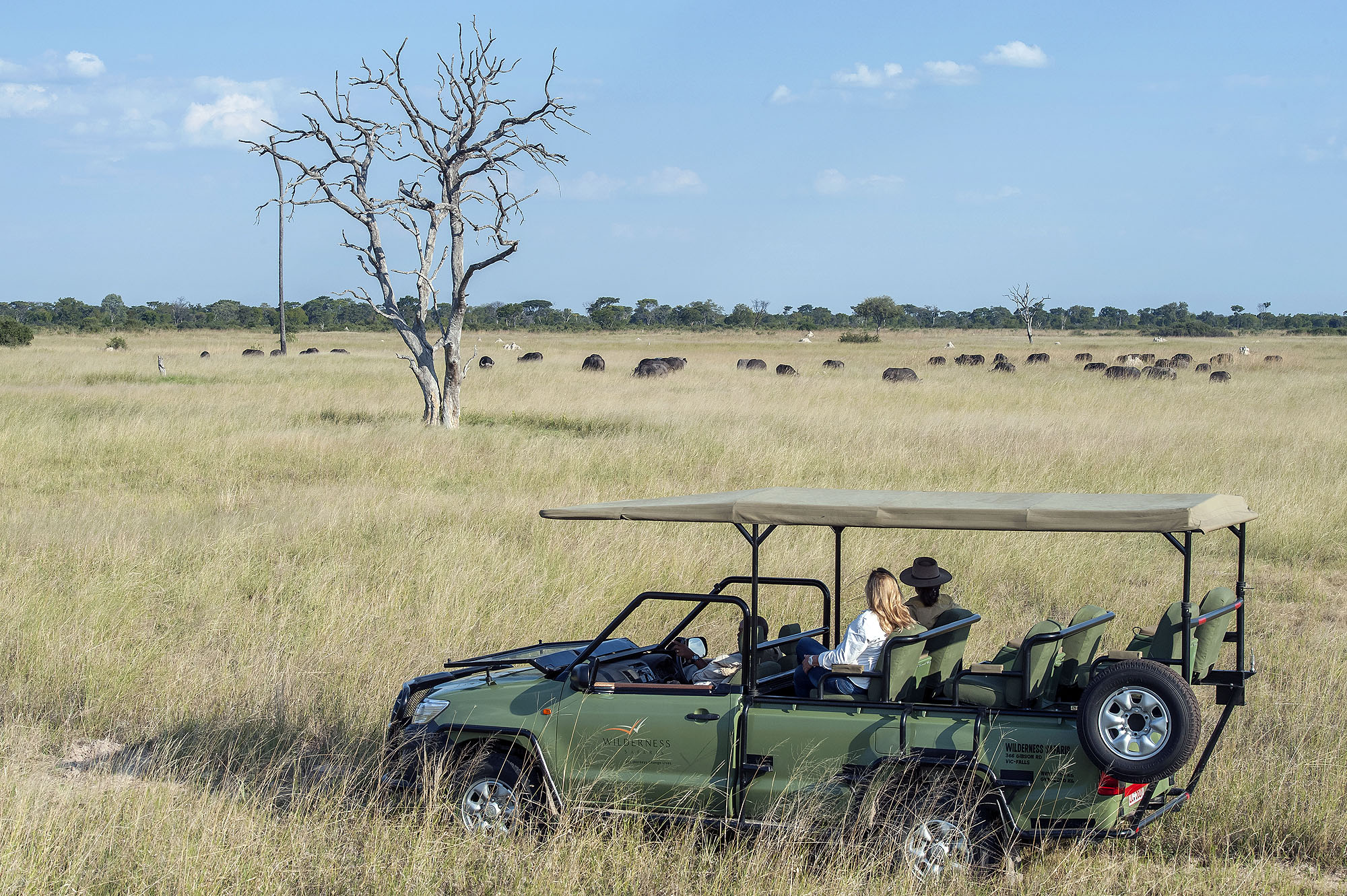 Safari-Gäste beobachten während einer Pirschfahrt eine Herde Büffel in der weiten afrikanischen Savannenlandschaft.