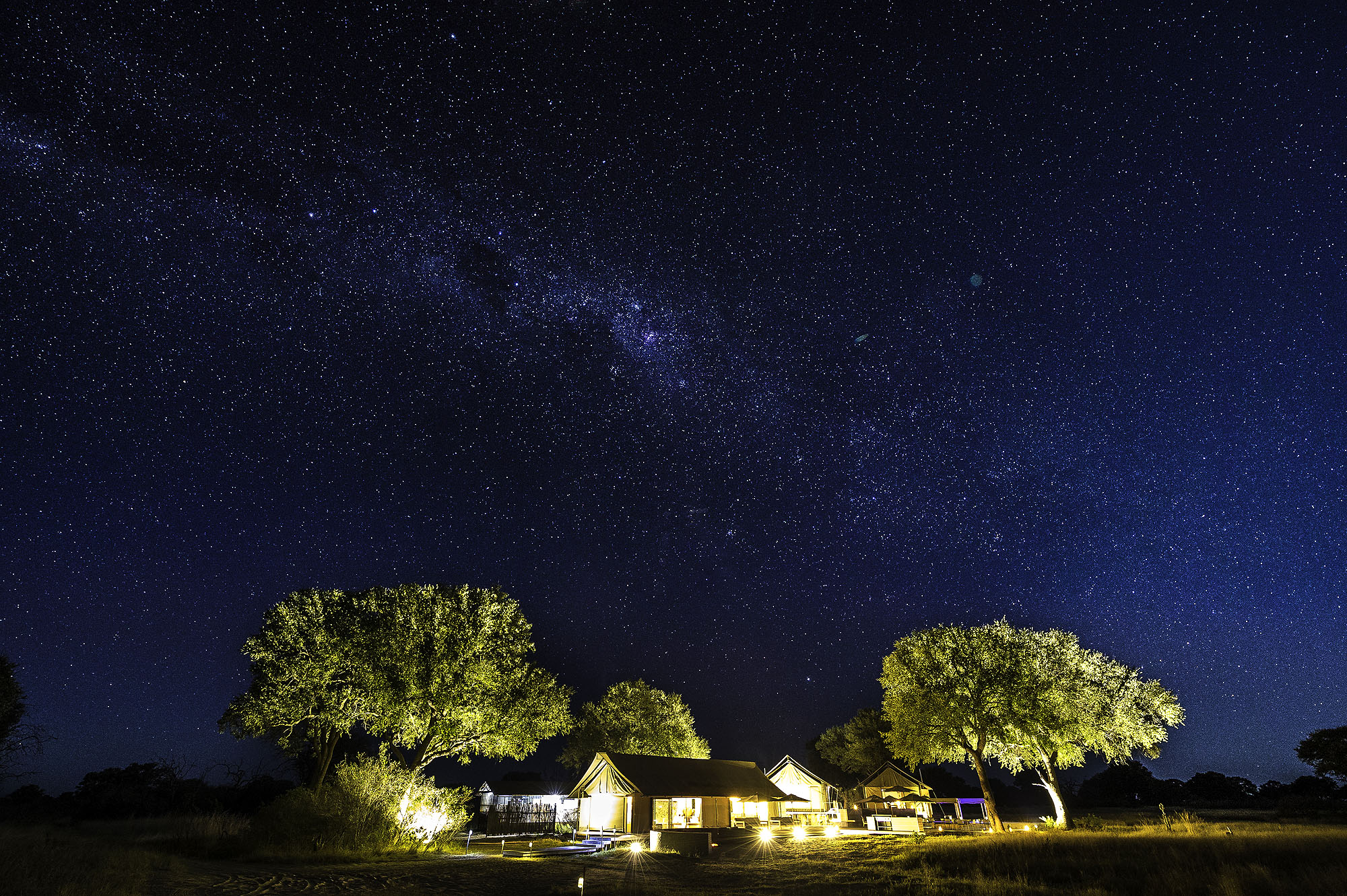 Beleuchtetes Safari-Camp unter einem spektakulären Sternenhimmel mit sichtbarer Milchstraße in der afrikanischen Wildnis.