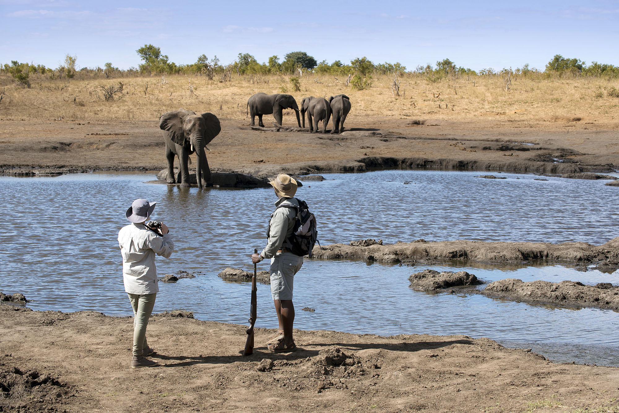Safari-Gäste beobachten mit einem erfahrenen Guide Elefanten an einer Wasserstelle in der afrikanischen Wildnis.