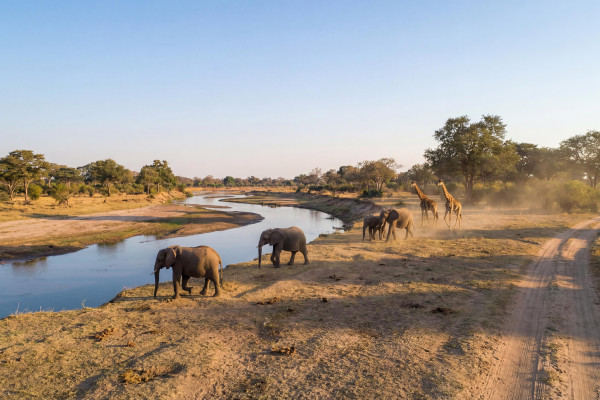 JACANA Sambias wilde Seite entdecken – Aktive Safari im South Luangwa 